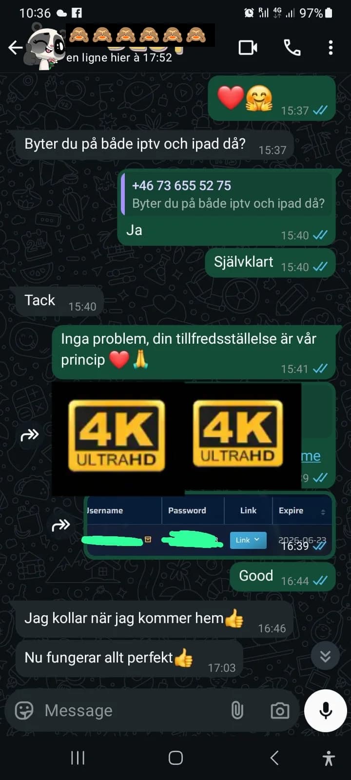 WhatsApp-konversation: Kund aktiverar IPTV på både TV och iPad – "Nu fungerar allt perfekt"